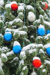 Similar image 22168519