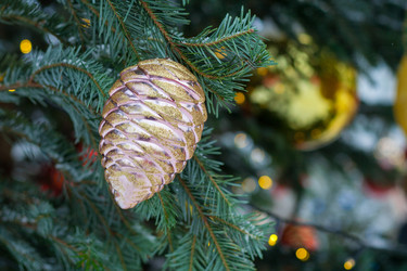 Similar image 22168534