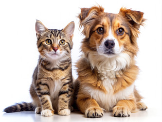 Similar image 22168075