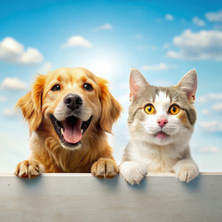 Similar image 22168076