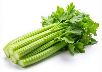 Similar image 22168387