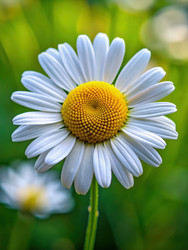 Similar image 22168400