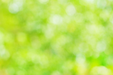 Similar image 22168540