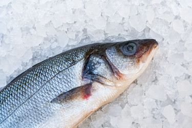 Similar image 22168544