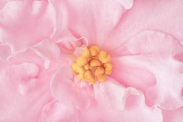 Similar image 22168547