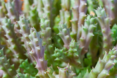 Similar image 22168550