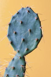 Similar image 22168555