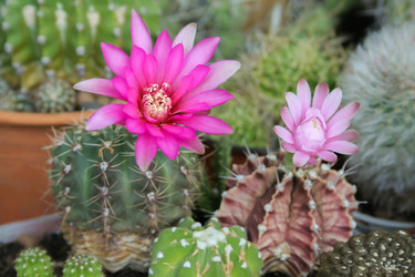 Similar image 22168558