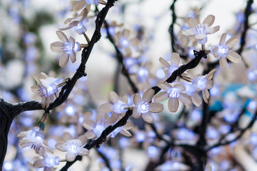 Similar image 22168559