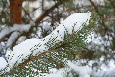 Similar image 22168575