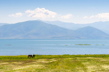 Similar image 22169038