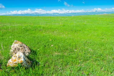 Similar image 22169044