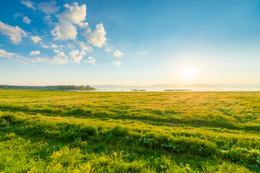 Similar image 22169045