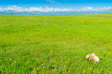 Similar image 22169046