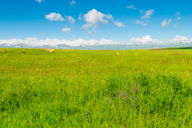 Similar image 22169049