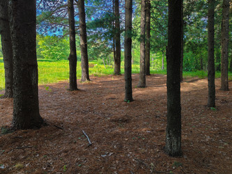 Similar image 22168216