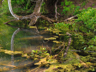 Similar image 22168217