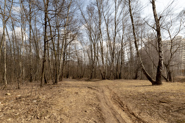 Similar image 22168786