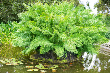 Similar image 22168410