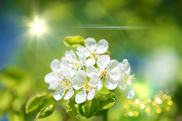 Similar image 22168426