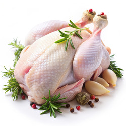 Similar image 22168791