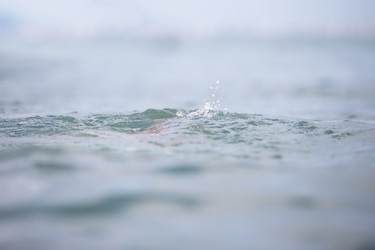 Similar image 22168229