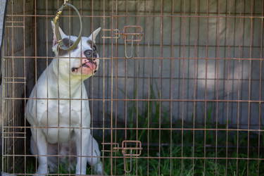 Similar image 22168231