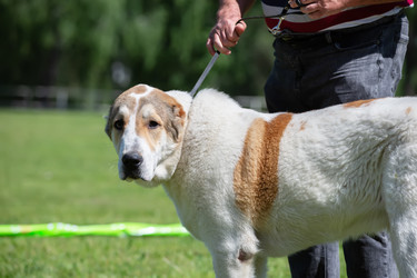 Similar image 22168236