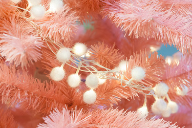 Similar image 22168580