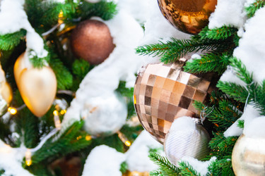 Similar image 22168585