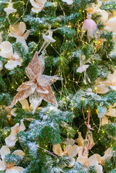 Similar image 22168592