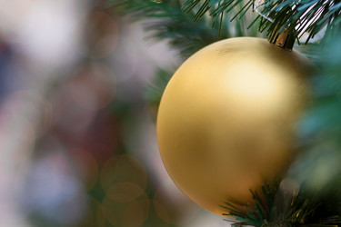 Similar image 22168610