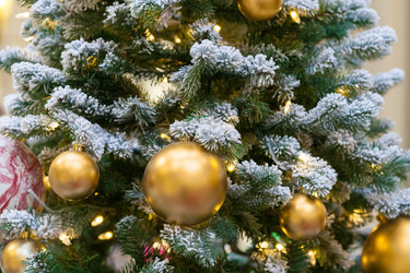 Similar image 22168611