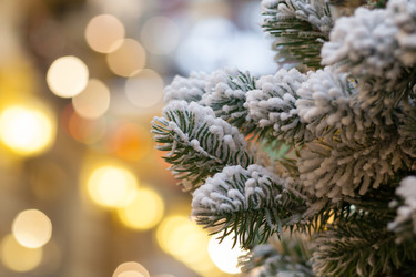 Similar image 22168612