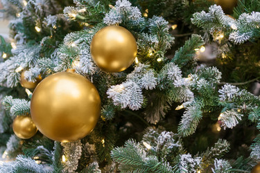 Similar image 22168615