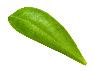 Similar image 22168621