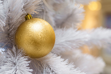 Similar image 22168622