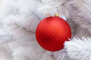 Similar image 22168623