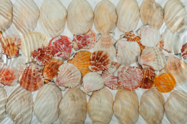 Similar image 22174372