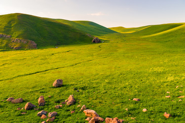 Similar image 22169106