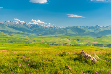 Similar image 22169121