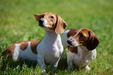 Similar image 22176119