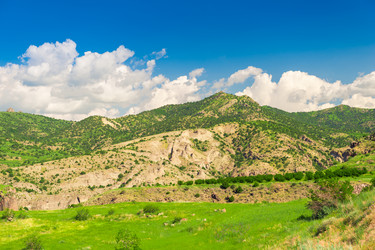 Similar image 22169146