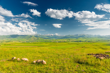 Similar image 22169159