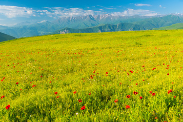 Similar image 22169167