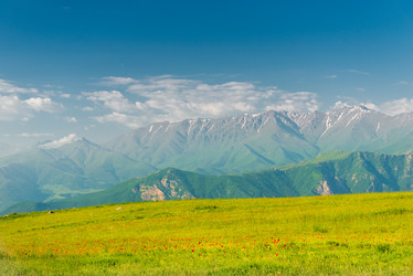 Similar image 22169171