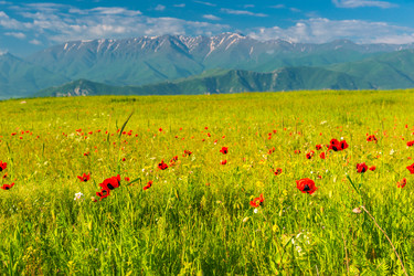 Similar image 22169177