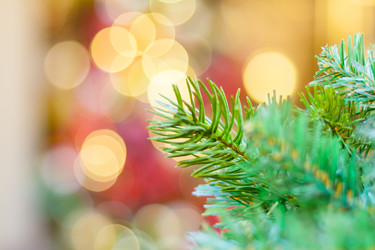 Similar image 22168630