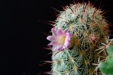 Similar image 22168638