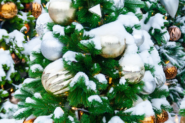 Similar image 22168640